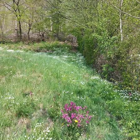 Die Rampe Bad Lauterberg Exterior photo